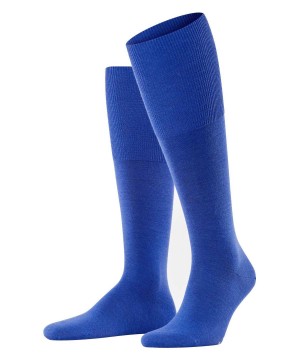 Falke Airport Knee-high Socks Socken Herren Blau | 6708359-NI