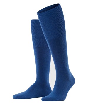 Falke Airport Knee-high Socks Socken Herren Blau | 5048163-ON