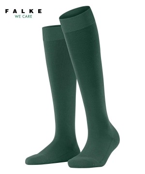 Falke ClimaWool Knee-high Socks Socken Damen Grün | 8273016-DC