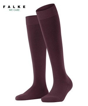 Falke ClimaWool Knee-high Socks Socken Damen Rot | 4572968-SY