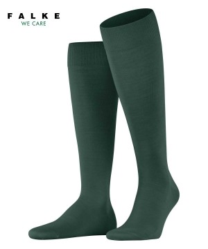 Falke ClimaWool Knee-high Socks Socken Herren Grün | 2463078-RU