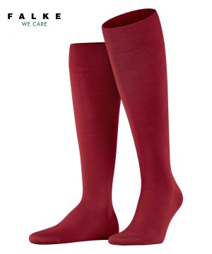 Falke ClimaWool Knee-high Socks Socken Herren Rot | 3170645-YH