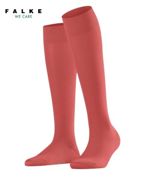 Falke Cotton Touch Knee-high Socks Socken Damen Rot | 9281607-WJ