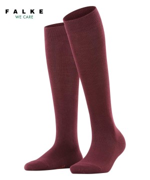 Falke Family Knee-high Socks Socken Damen Rot | 3765014-KR