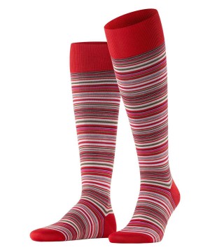 Falke Microblock Knee-high Socks Socken Herren Rot | 1920453-ZQ