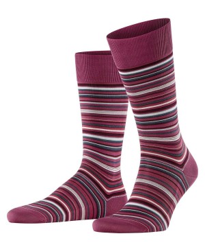 Falke Microblock Socks Socken Herren Rosa | 5418376-YF