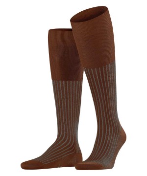 Falke Oxford Stripe Knee-high Socks Socken Herren Braun | 8207961-VX