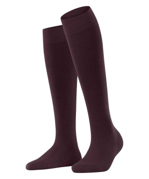 Falke Softmerino Knee-high Socks Socken Damen Rot | 1543268-DX