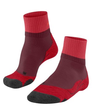 Falke TK2 Explore Short Trekking Short sock Sports Socks Damen Rot | 7361520-NG