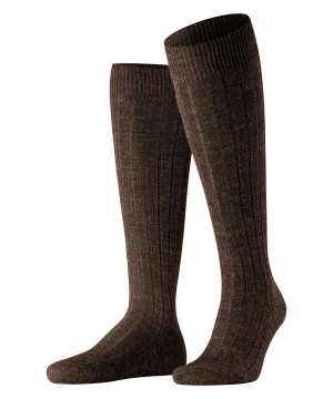 Falke Teppich im Schuh Knee-high Socks Socken Herren Braun | 2586019-KH