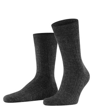 Falke Teppich im Schuh Socks Socken Herren Grau | 8931205-JP