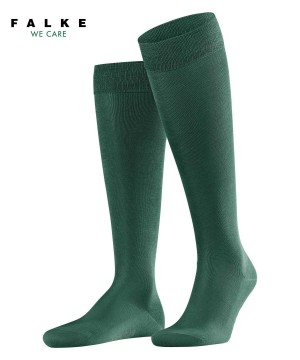 Falke Tiago Knee-high Socks Socken Herren Grün | 2543916-OC