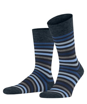 Falke Tinted Stripe Socks Socken Herren Blau | 0349217-QL