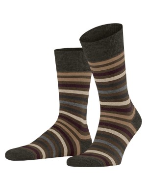 Falke Tinted Stripe Socks Socken Herren Grün | 2193706-UD