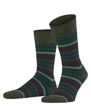 Falke Tinted Stripe Socks Socken Herren Grün | 3749681-PL