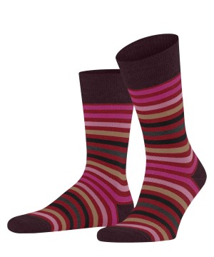 Falke Tinted Stripe Socks Socken Herren Rot | 6185293-IZ