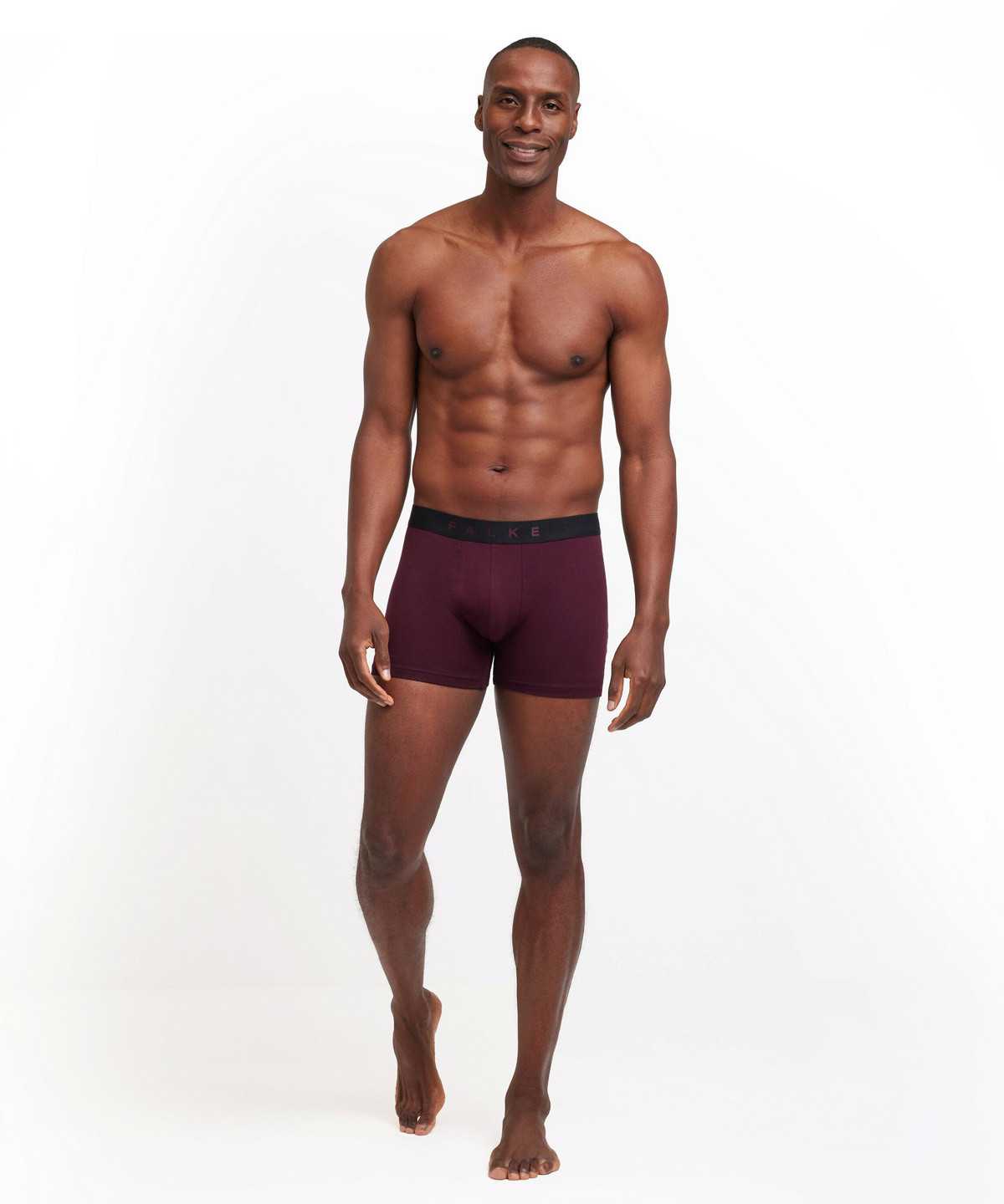 Falke 2-Pack Boxer Daily Comfort Boxer & Slips Herren Multicolored | 8532061-FP