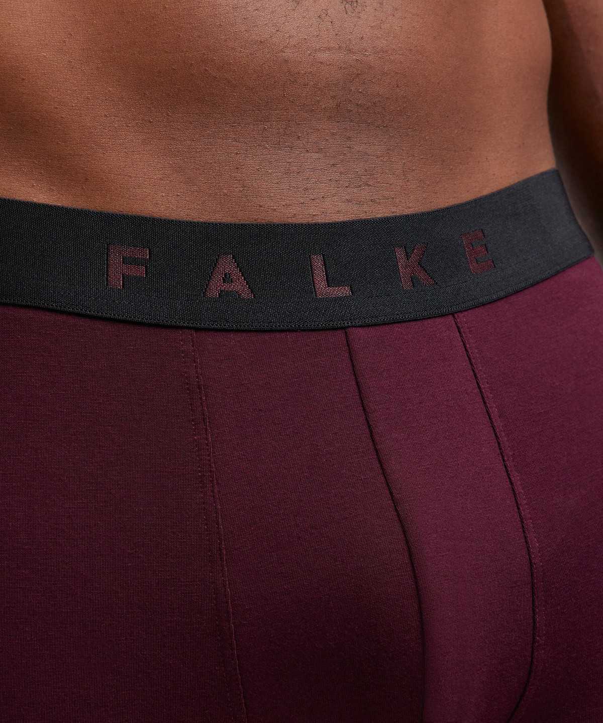 Falke 2-Pack Boxer Daily Comfort Boxer & Slips Herren Multicolored | 8532061-FP