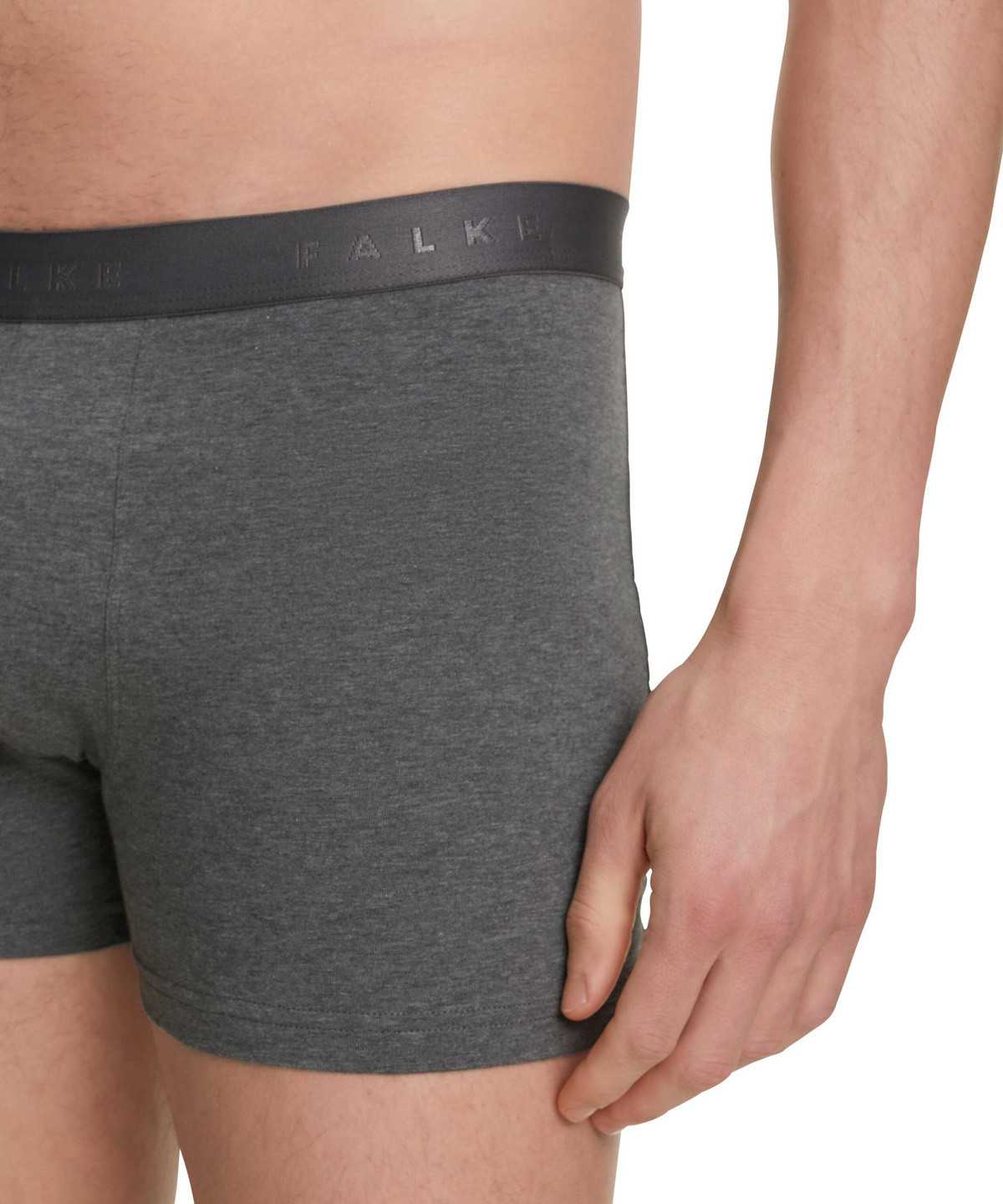 Falke 2-Pack Boxer Daily Comfort Boxer & Slips Herren Grau | 2068397-CX