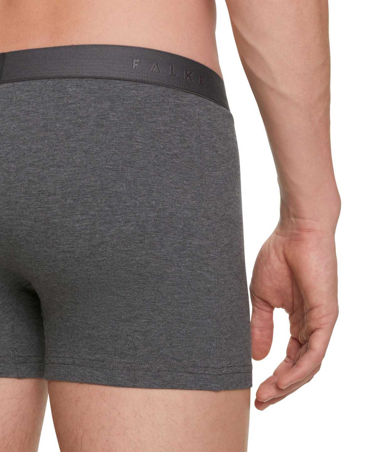 Falke 2-Pack Boxer Daily Comfort Boxer & Slips Herren Grau | 2068397-CX