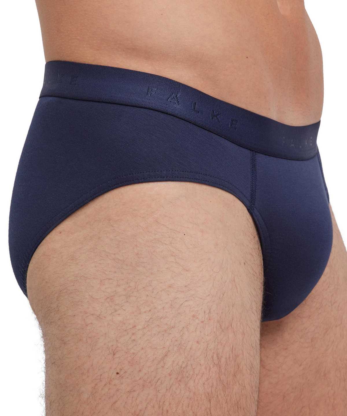 Falke 2-Pack Slip Daily Comfort Boxer & Slips Herren Grau | 0673958-DH