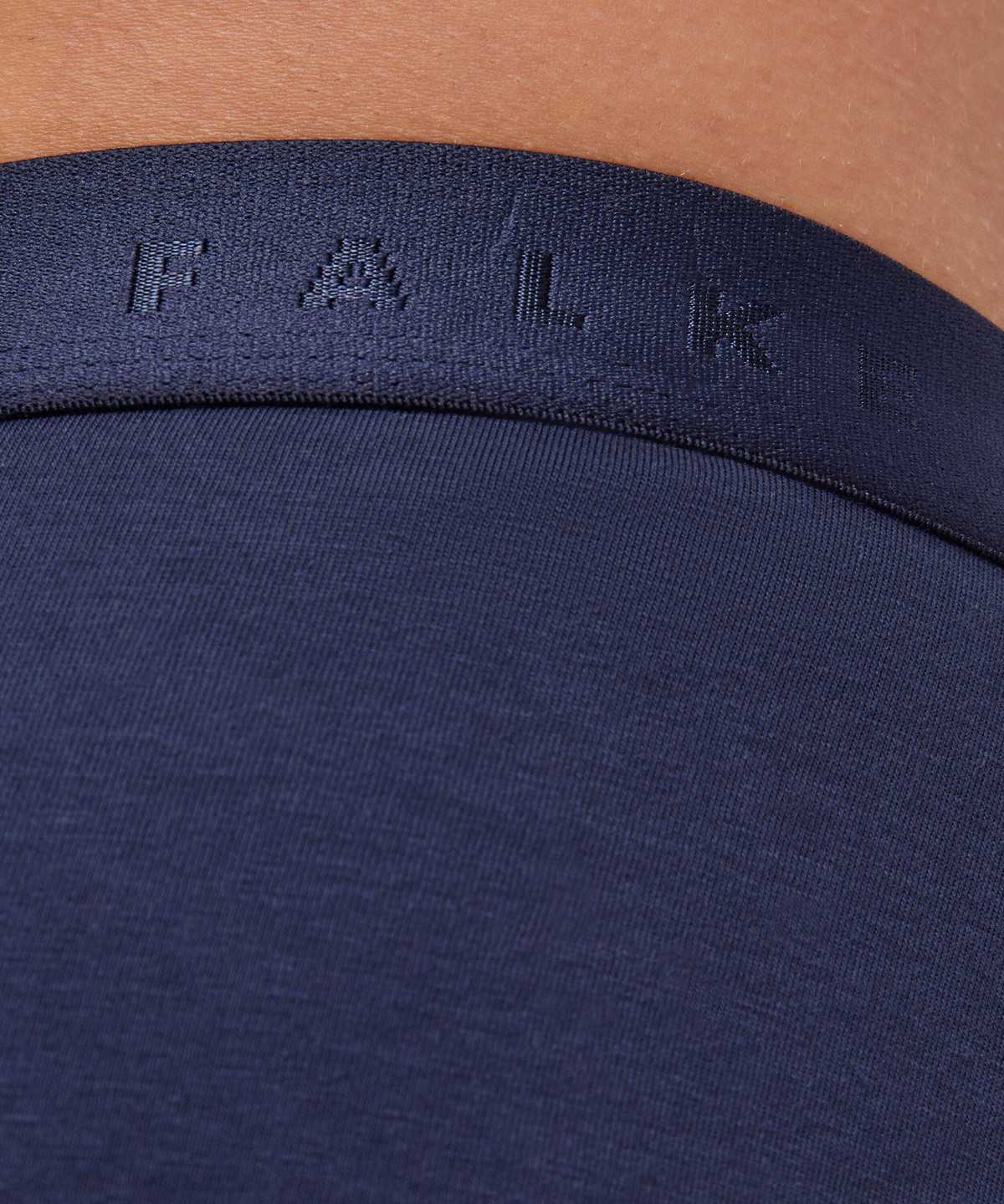 Falke 2-Pack Slip Daily Comfort Boxer & Slips Herren Grau | 0673958-DH