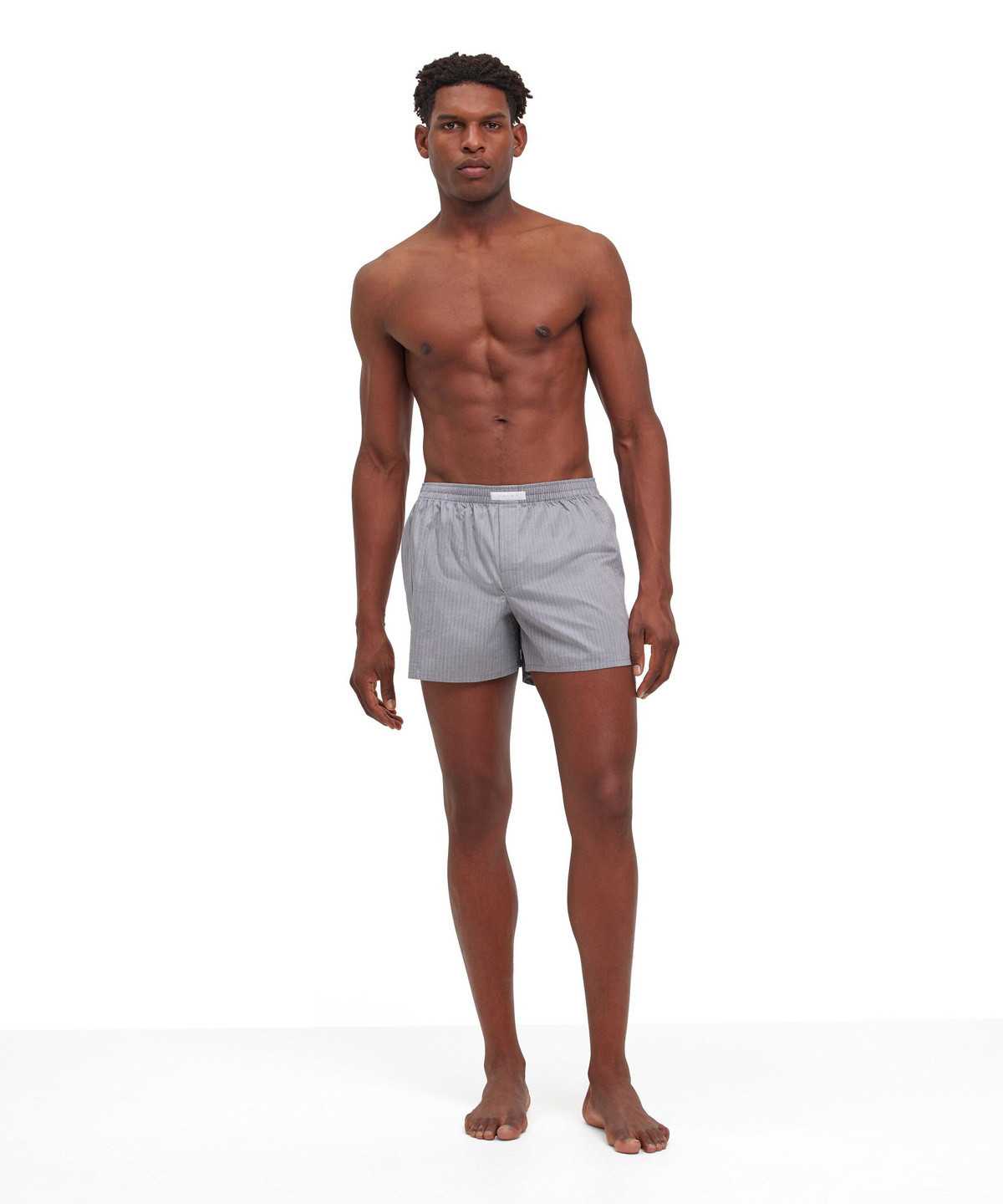 Falke Boxer Boxer & Slips Herren Grau | 5698013-IU