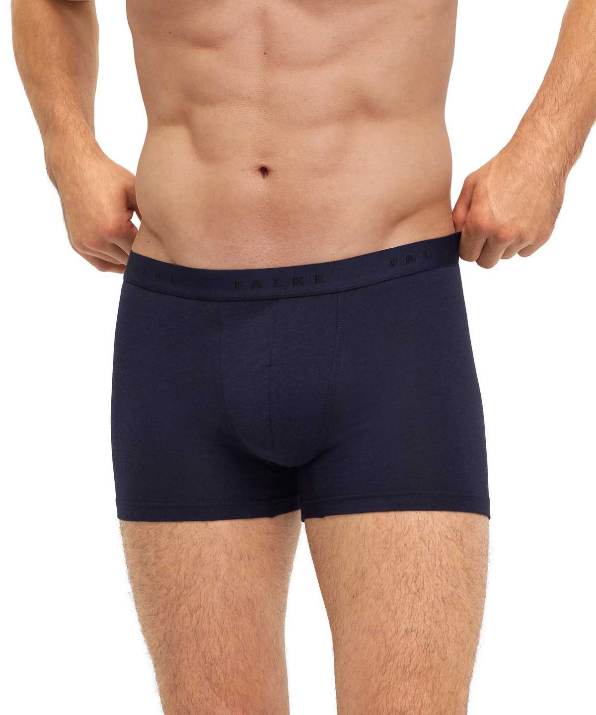 Falke Boxer Daily Climate Control Boxer & Slips Herren Grau | 9305164-KX