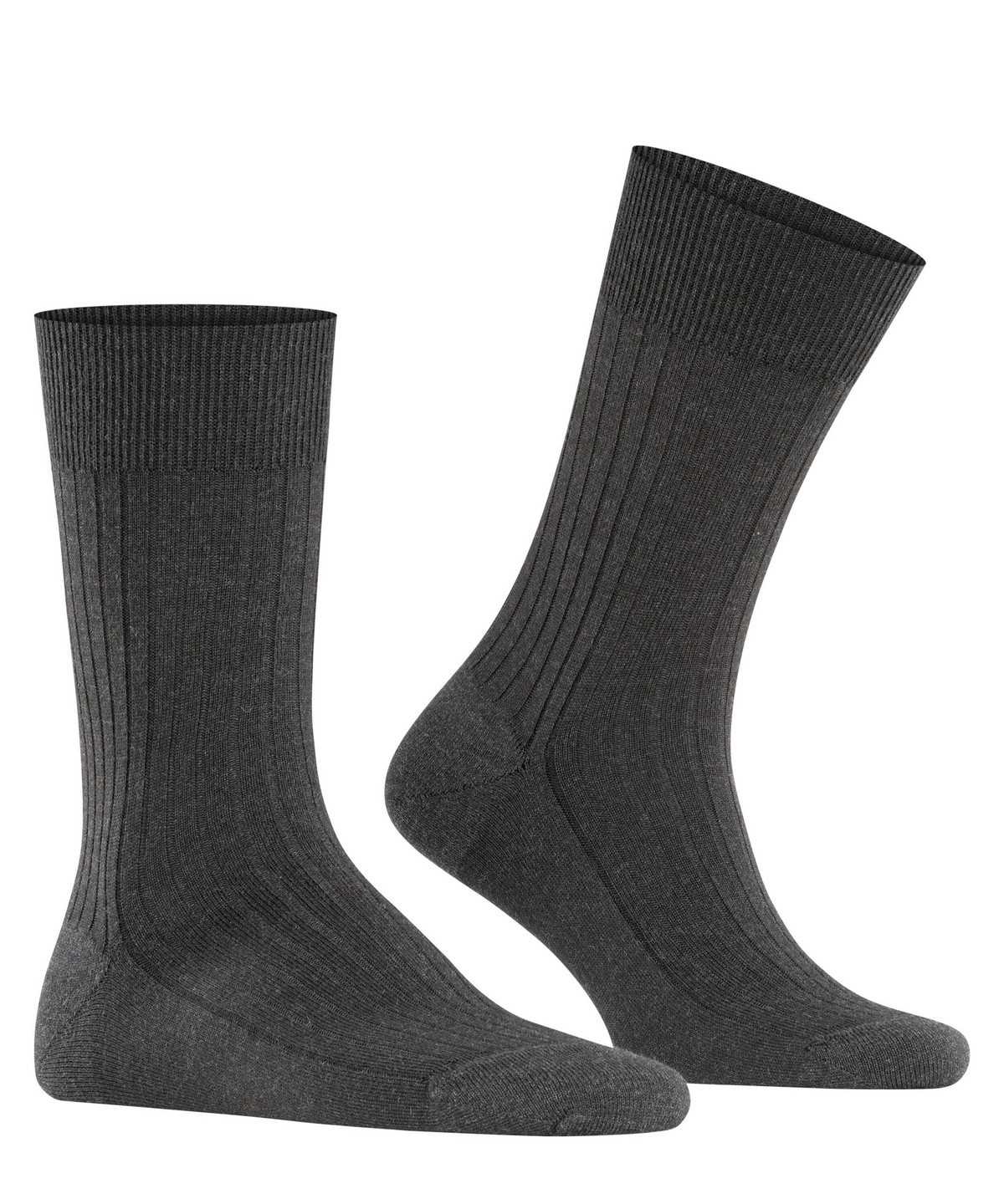 Falke Bristol Pure Socks Socken Herren Grau | 7124890-OV