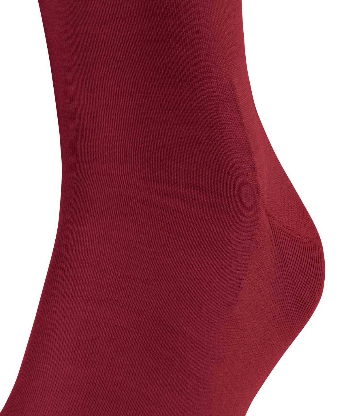 Falke ClimaWool Knee-high Socks Socken Herren Rot | 3170645-YH