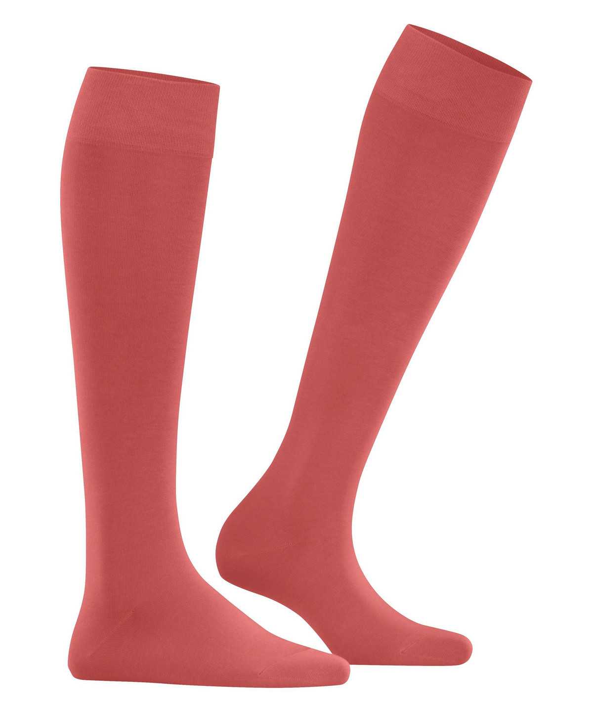 Falke Cotton Touch Knee-high Socks Socken Damen Rot | 9281607-WJ