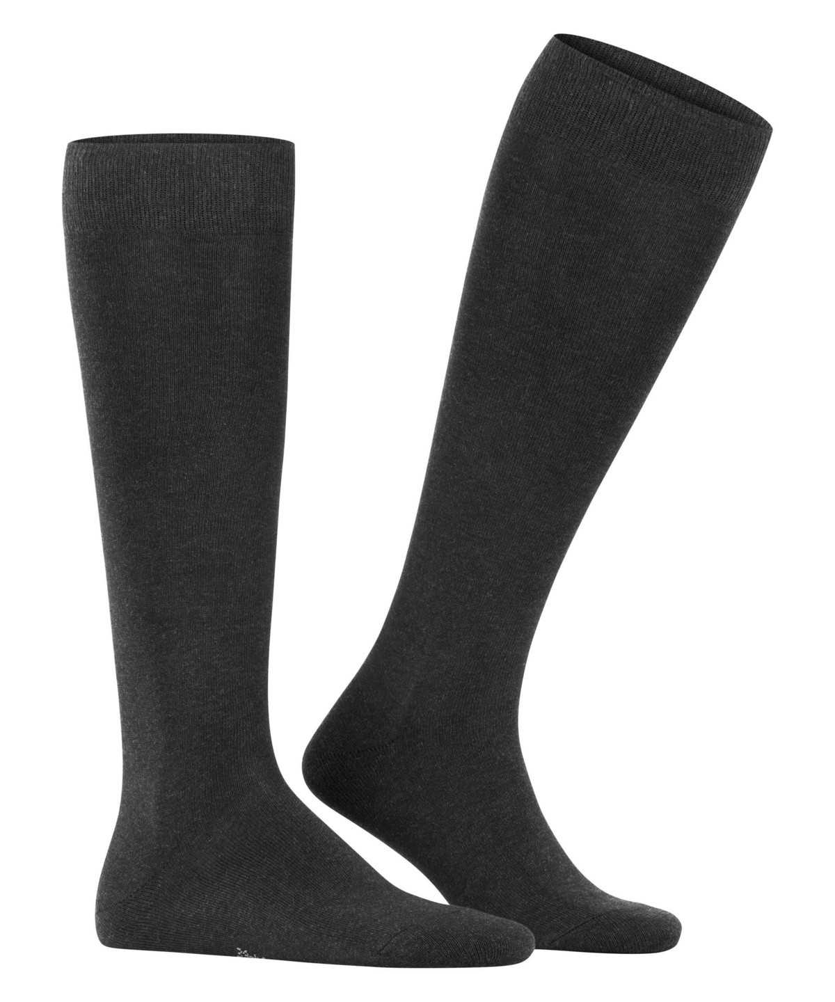 Falke Family Knee-high Socks Socken Herren Grau | 7216054-UY