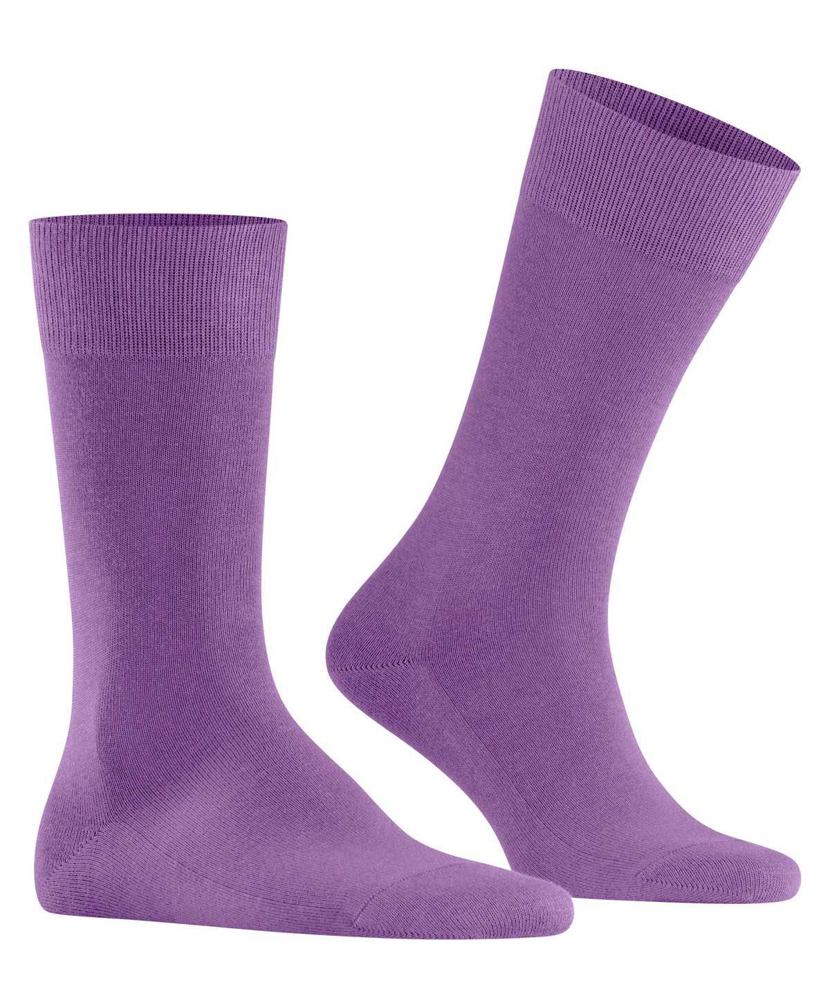 Falke Family Socks Socken Herren Lila | 1367482-RY