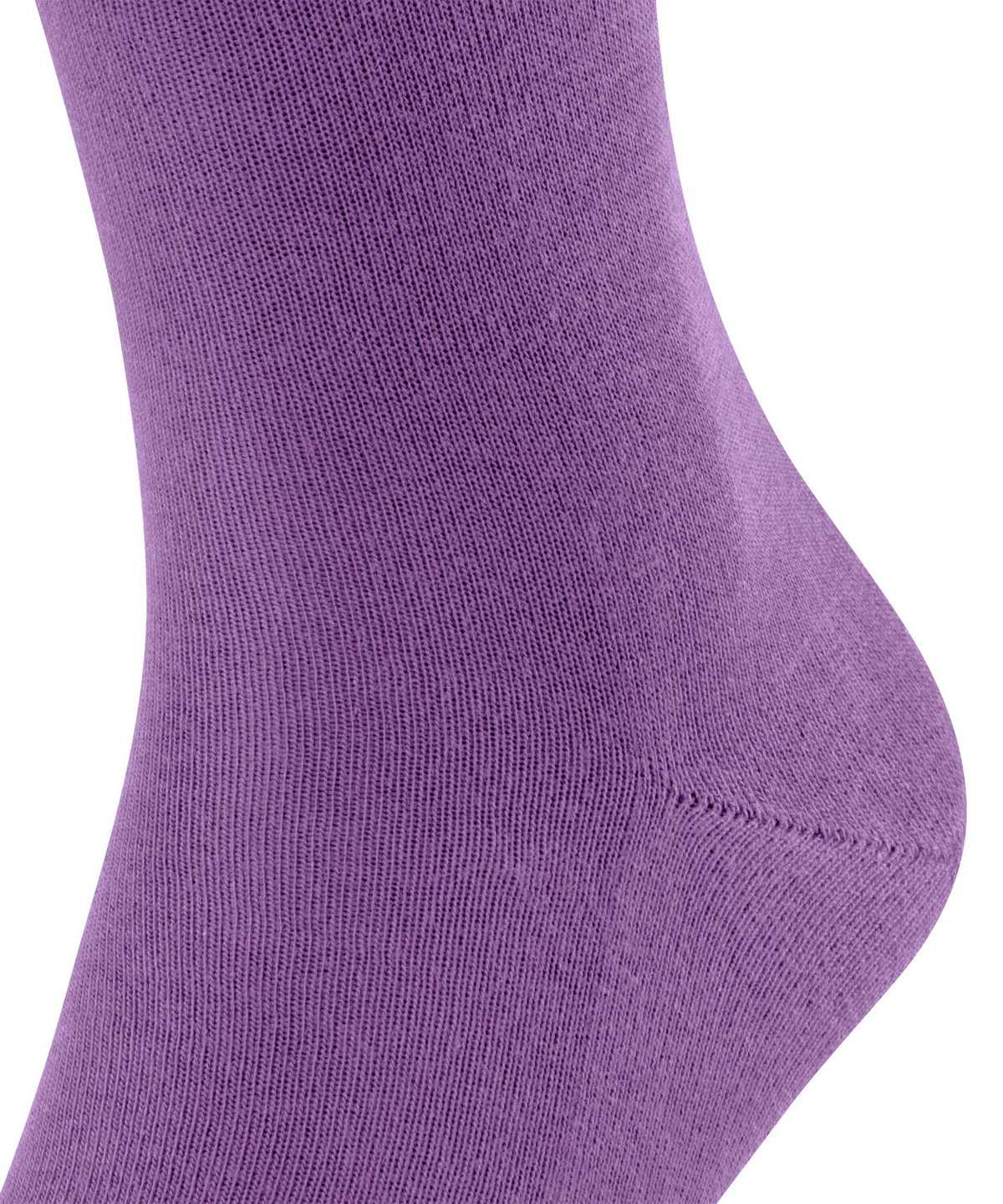 Falke Family Socks Socken Herren Lila | 1367482-RY