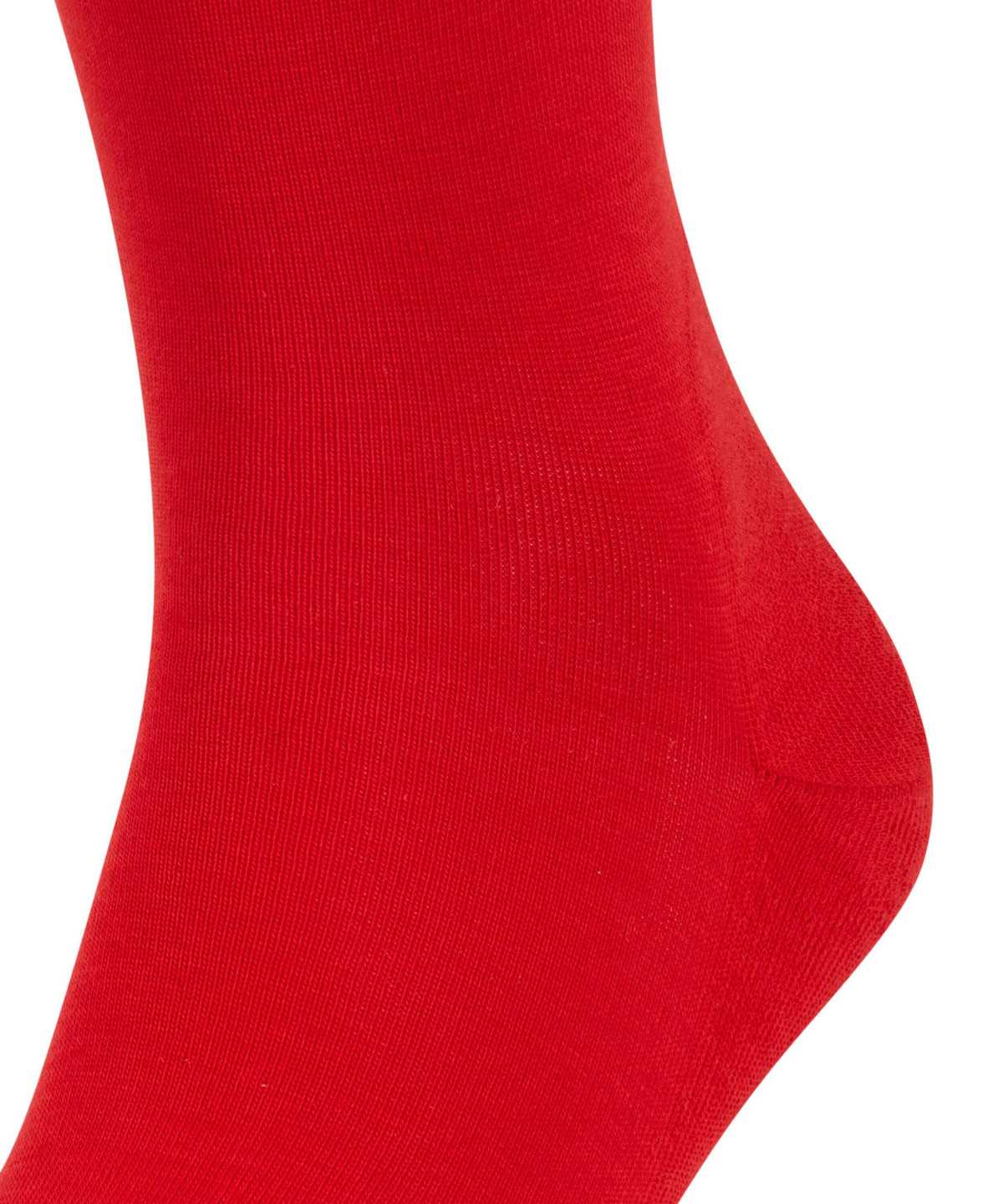 Falke Run Socks Socken Herren Rot | 4981705-AE