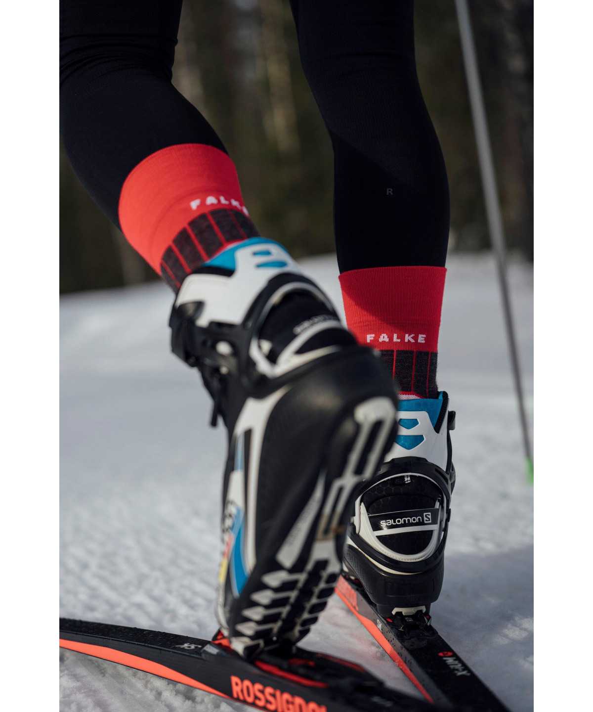 Falke SC1 Skiing Socks Socken Herren Rot | 2403957-EK