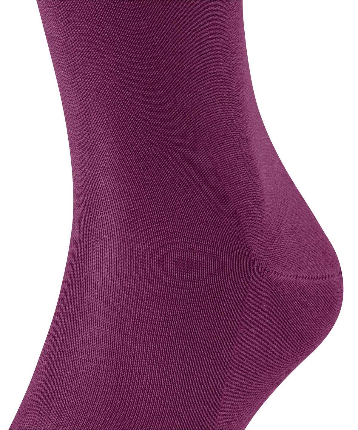 Falke Tiago Knee-high Socks Socken Herren Lila | 8035196-WY