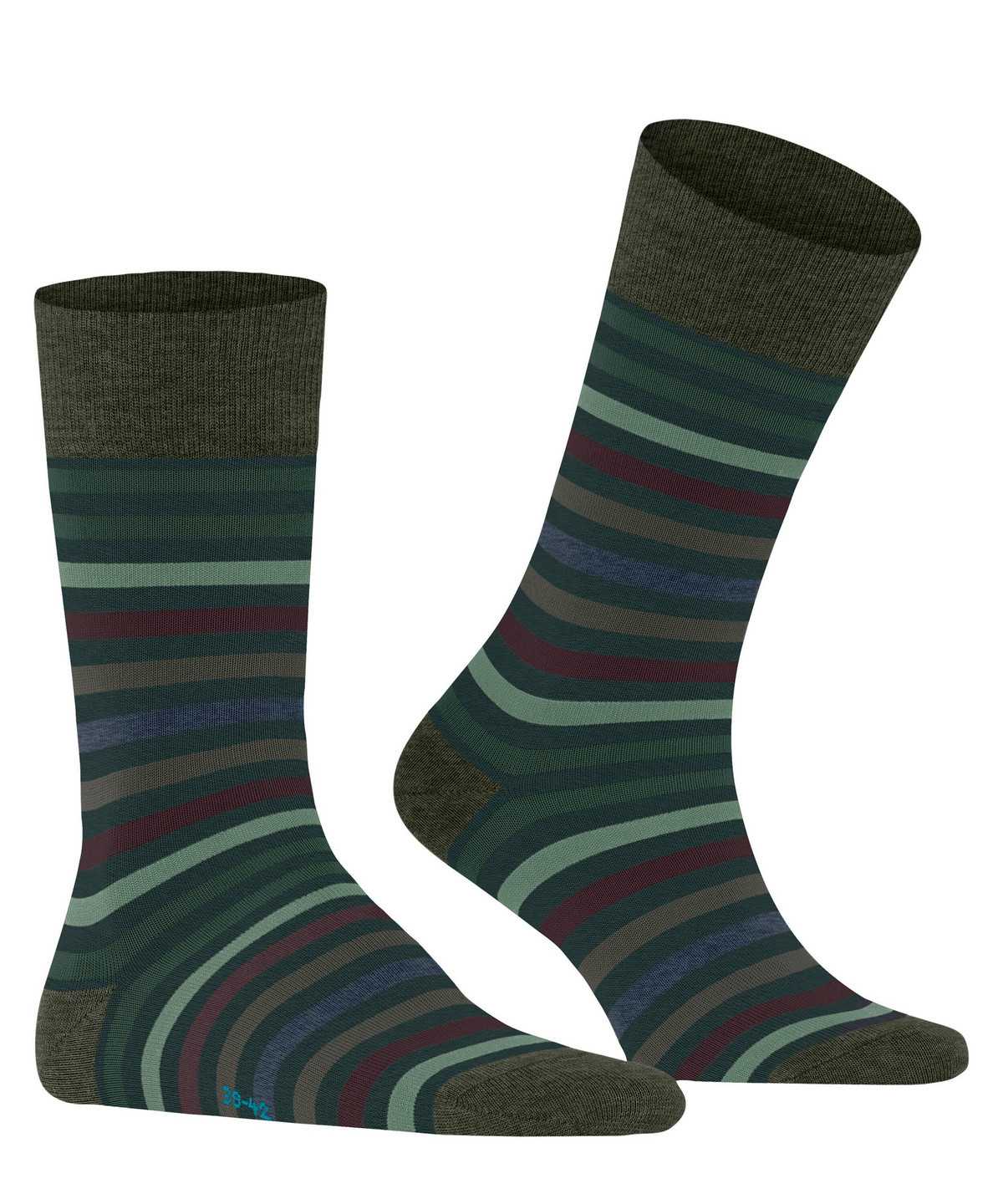 Falke Tinted Stripe Socks Socken Herren Grün | 3749681-PL